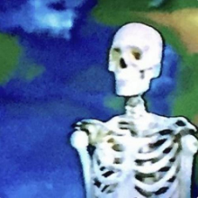 Рингтон BONES - MissingProjectFiles на звонок скачать
